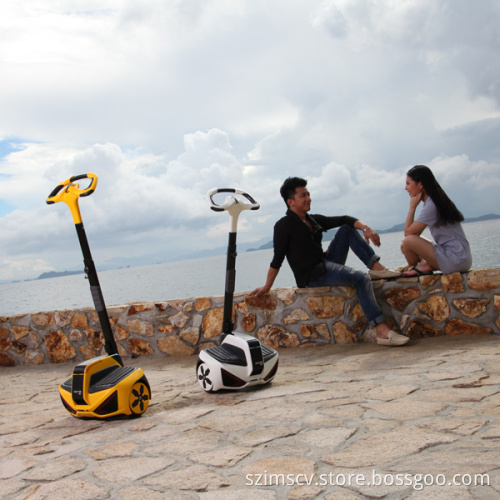 Self-Balancing Electric Vehicle